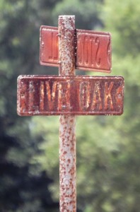 Corner of Live Oak and Stockwell in Damon, TX