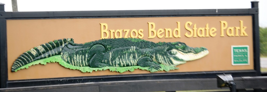 Brazos Bend State Park, Texas