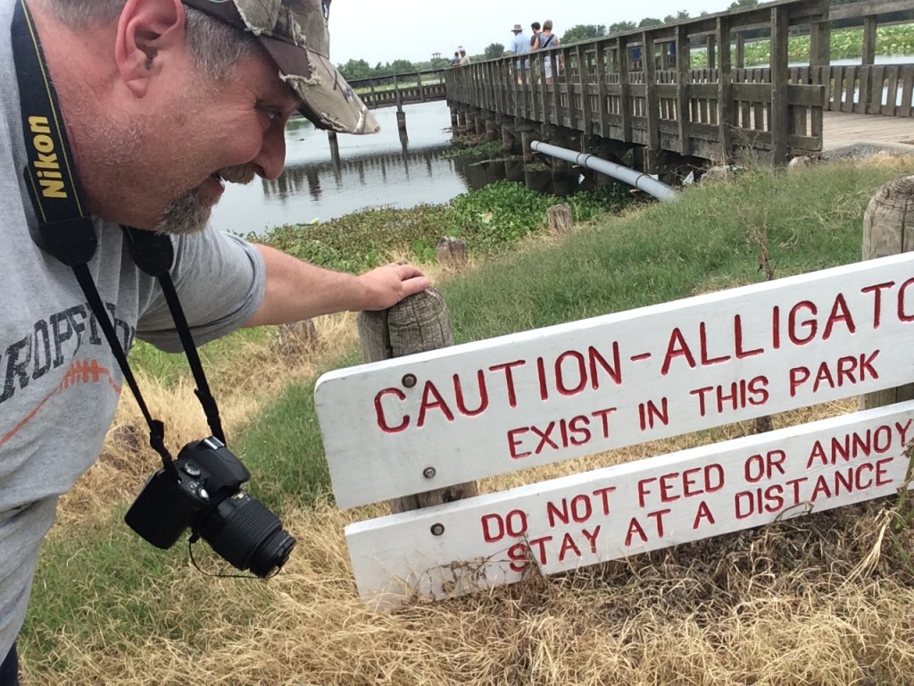 Caution - Alligators