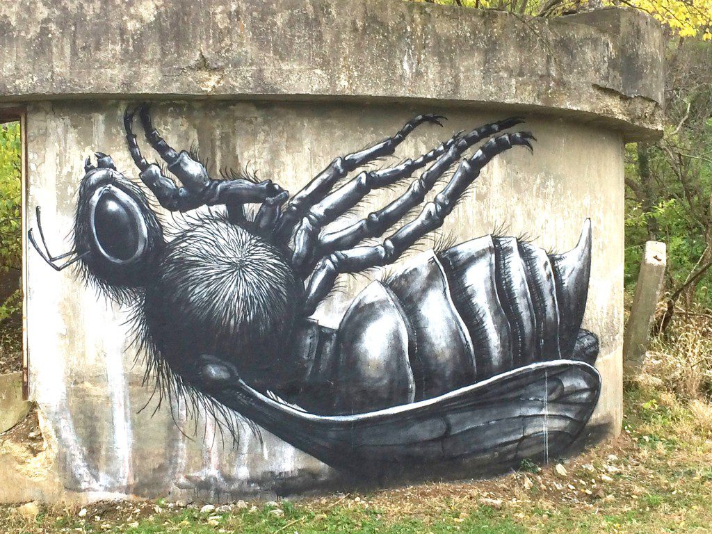 Bee on its back by ROA, located in the Lexington Distillery District