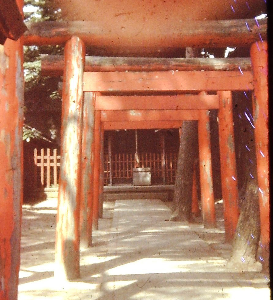 Shinto Toori Gates in Fukui, Japan (ca. 1976)