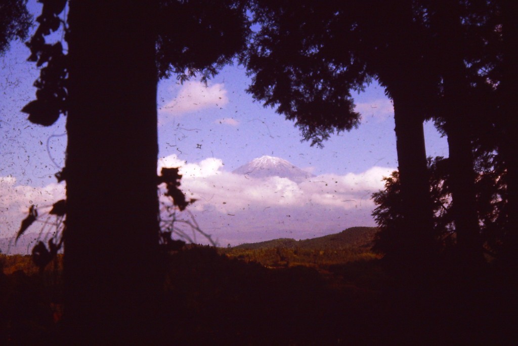 Mt. Fuji in the trees and clouds (ca. 1978)