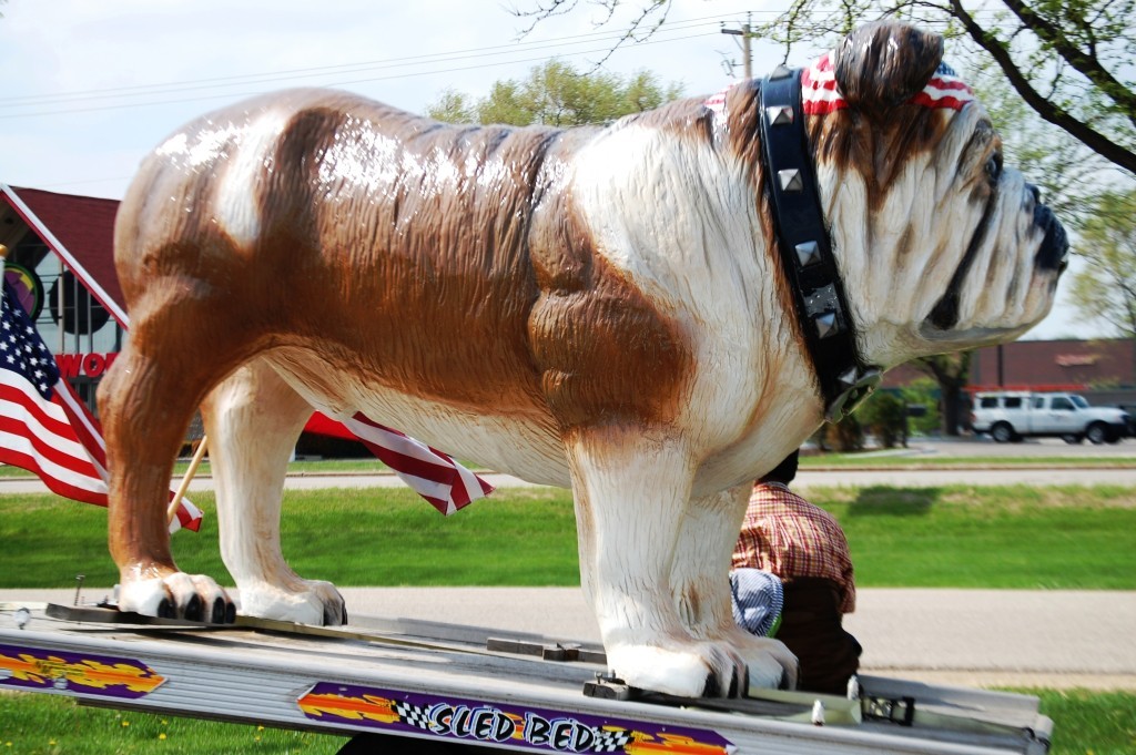 Big Bulldog in Beloit, WI