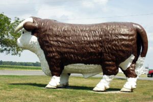 Giant Steer in Gilboa, OH. I have seen many similar ones in other places