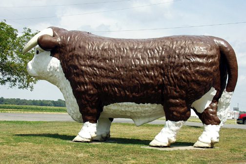 Giant Steer in Gilboa, OH.  I have seen many similar ones in other places
