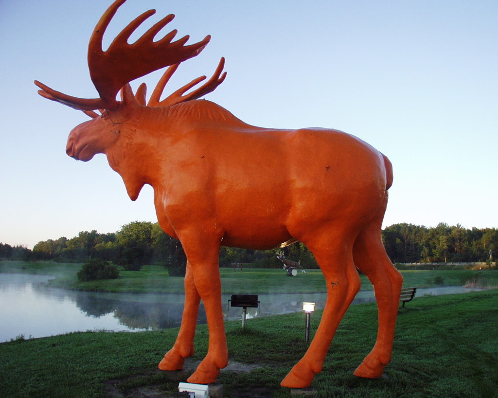 Orange Moose in Black River Falls, WI