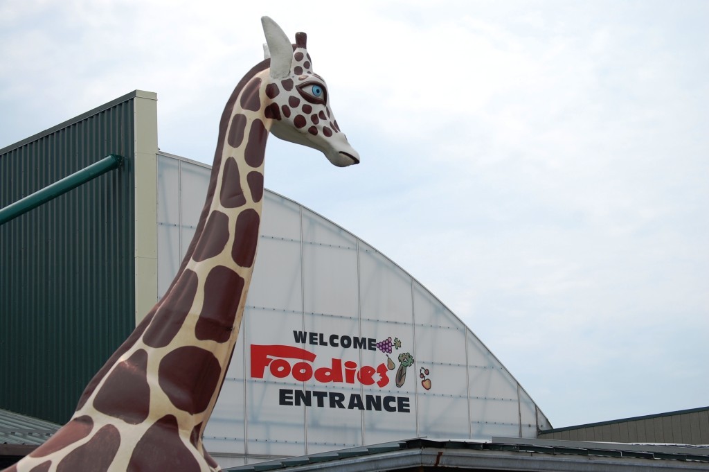 Big happy giraffe in Cincinnati, OH