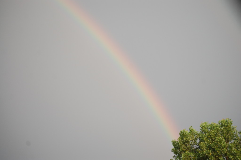Rainbow near Alpine, Arkansas as seen from Hwy 8