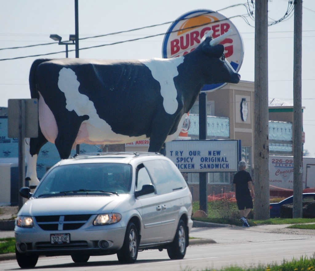 Sissy the Cow is at Ehlenbach's Cheese Factory in DeForest, WI