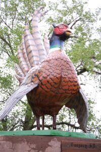 Giant Pheasant statue in Gregory, SD