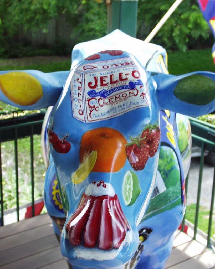 Head shot of JELLO Cow in Leroy, NY
