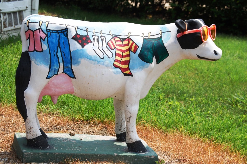 A colorful cow in sunglasses seen in Normal, IL