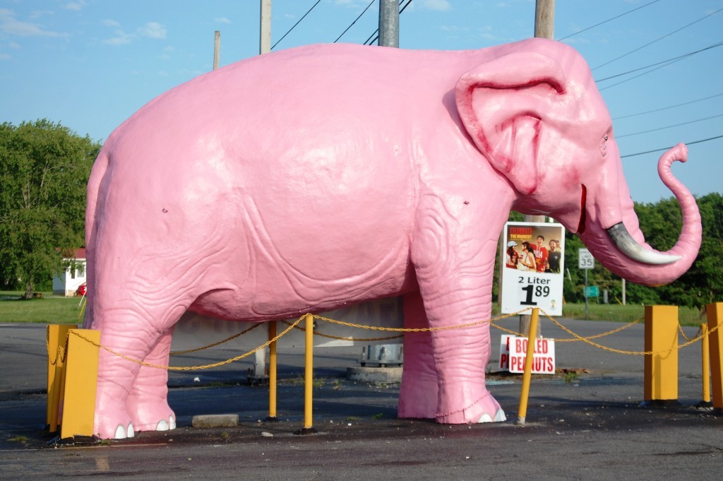 Big pink elephant in Russellville, KY, just around the corner from the big cow with pink sungalsses