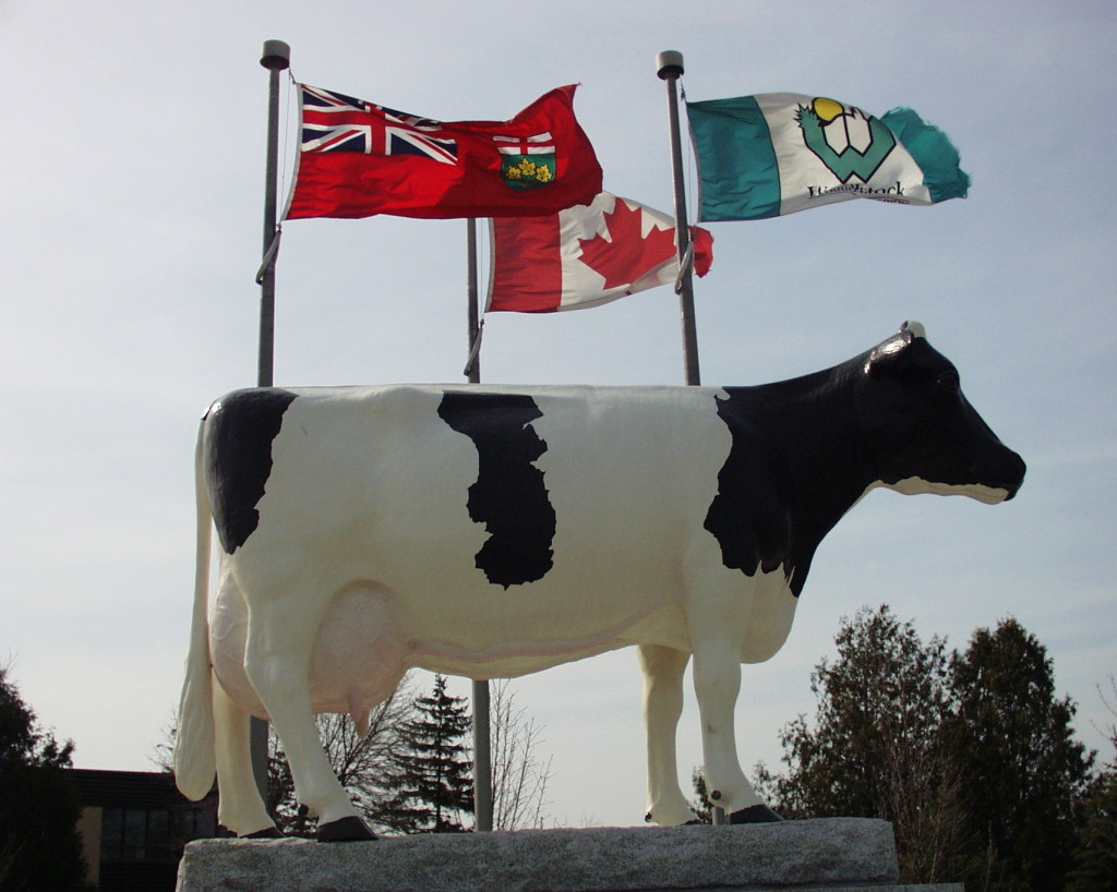 Springbank Snow Countess in Woodstock, Ontario