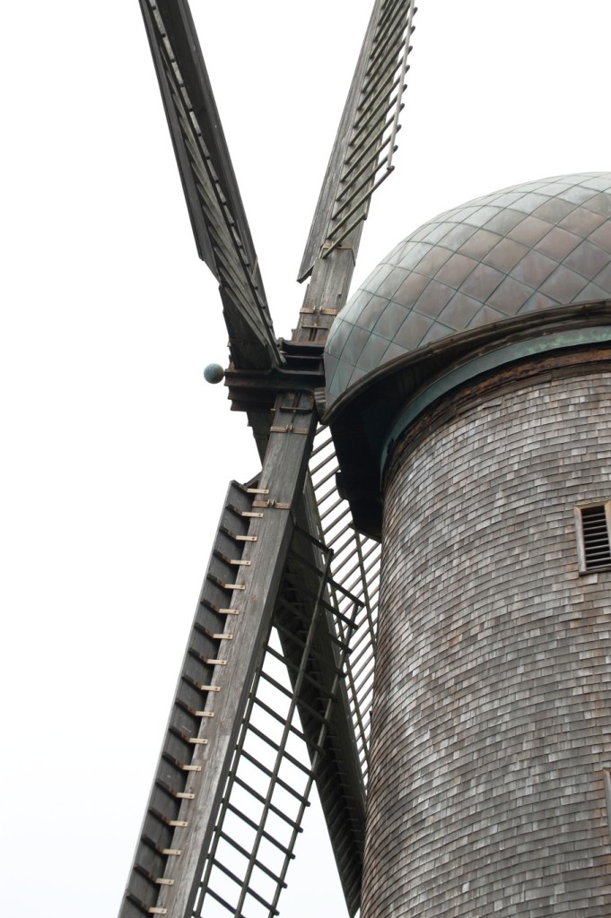 The North Windmill in Golden Gate Park