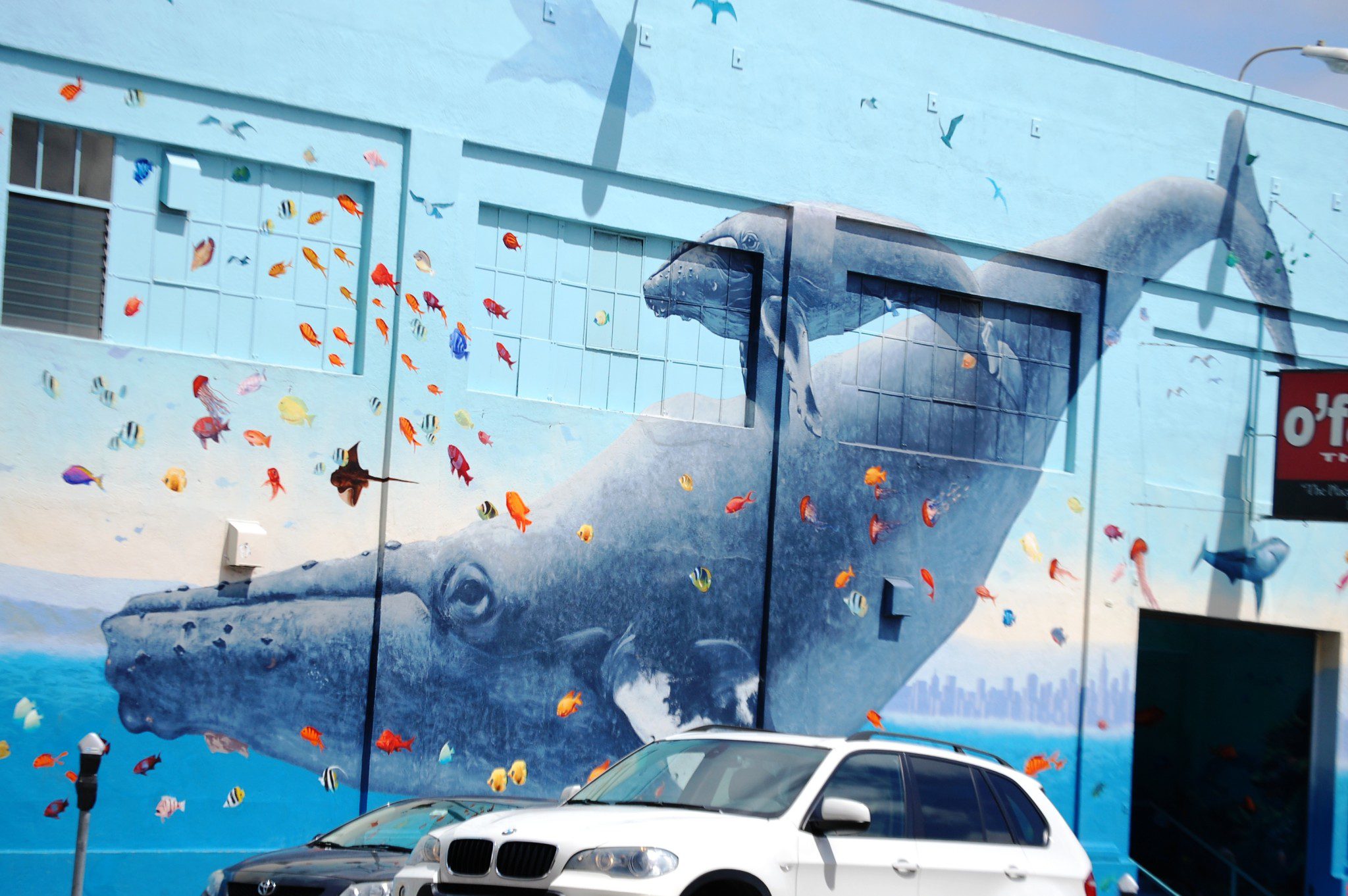 Giant whale mural on a building