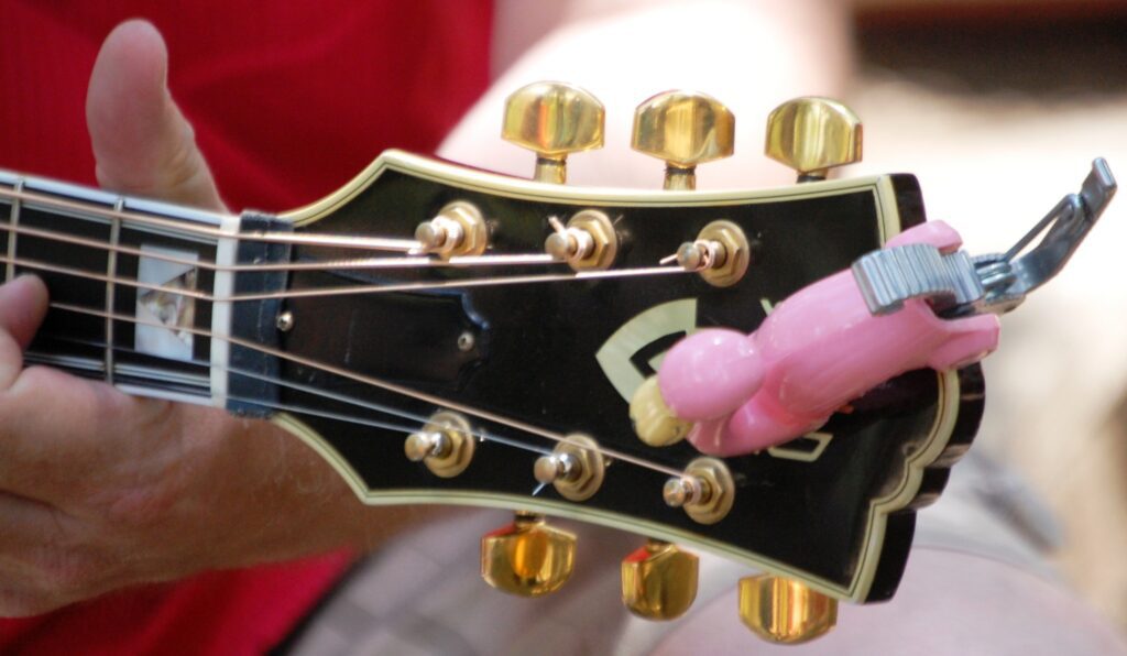 Flamingos....even on guitars