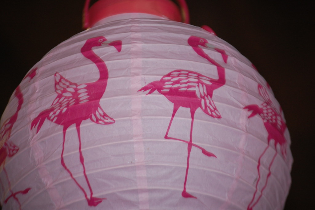 Flamingo Lanterns decorated the dining area