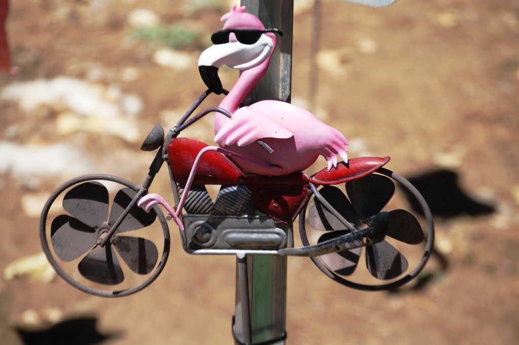 Flamingo biking
