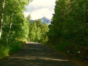 A scene from the Alpine Loop