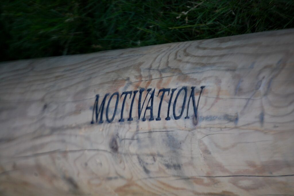 The Motivation Log