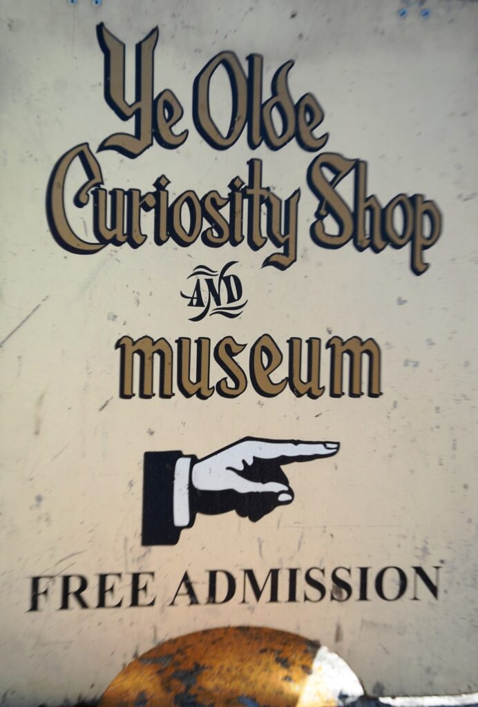 Ye Olde Curiosity Shop is a must see stop for the lovers of the offbeat and quirky