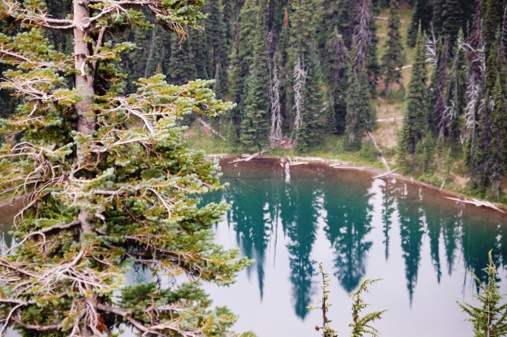 Scenic Sunrise Lake near Sunrise Viewpoint in Mt. Rainier National Park