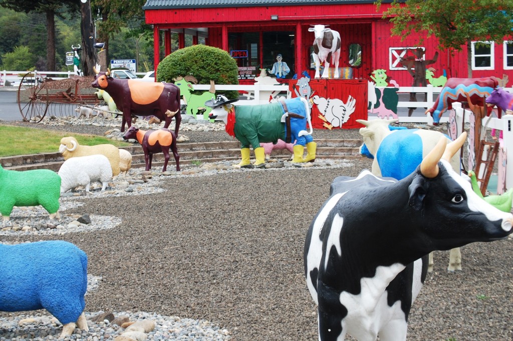 The Mattress Ranch "pasture" in Port Orchard