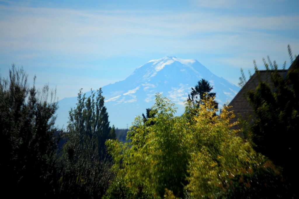 Mt. Rainier as seen from the Point Defiance Zoo