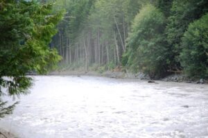 White River runs along WA 410 near Greenwater, WA