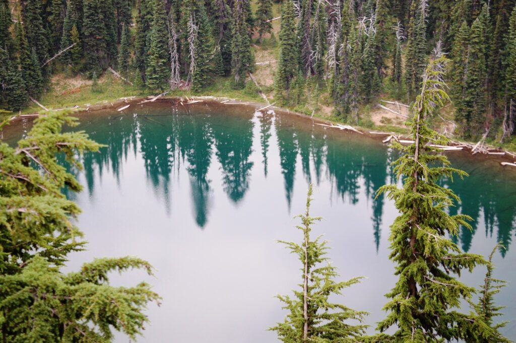 AA view of Tipsoo Lake as seen from the trail