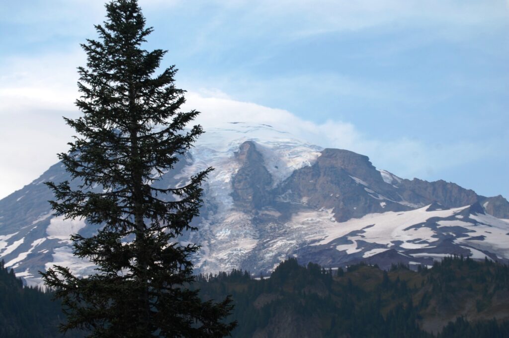 Mt. Rainier from Paradise