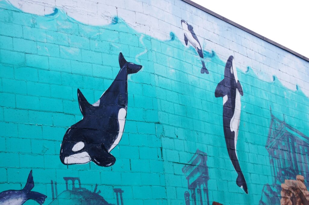 The Orcas on the wall mural in Port Orchad