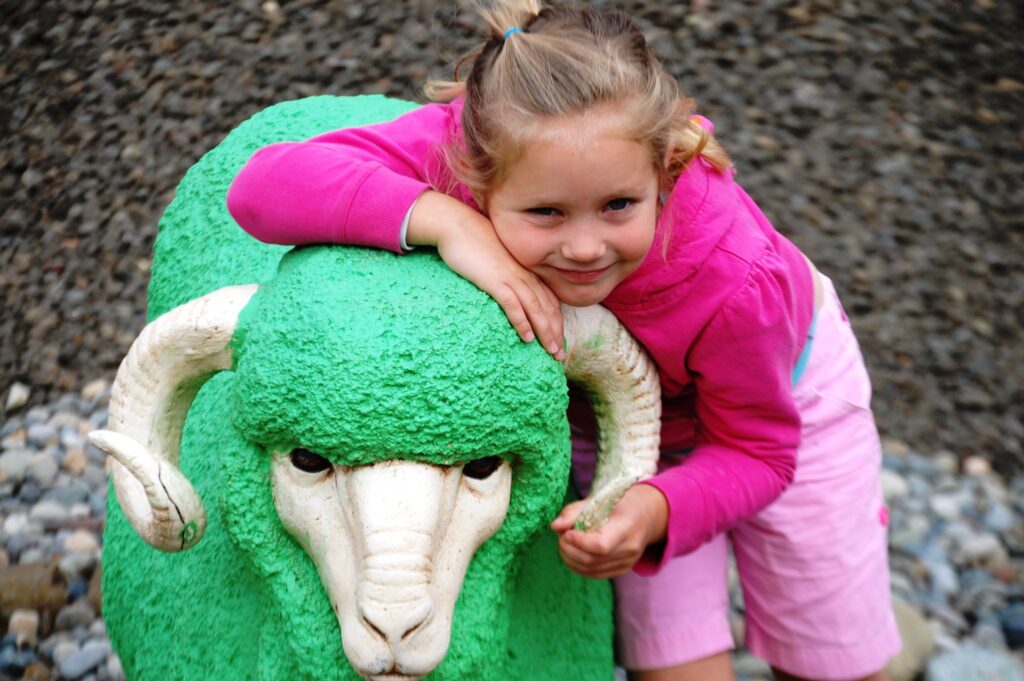 Granddaughter Livvy with a ram at the Mattress Ranch