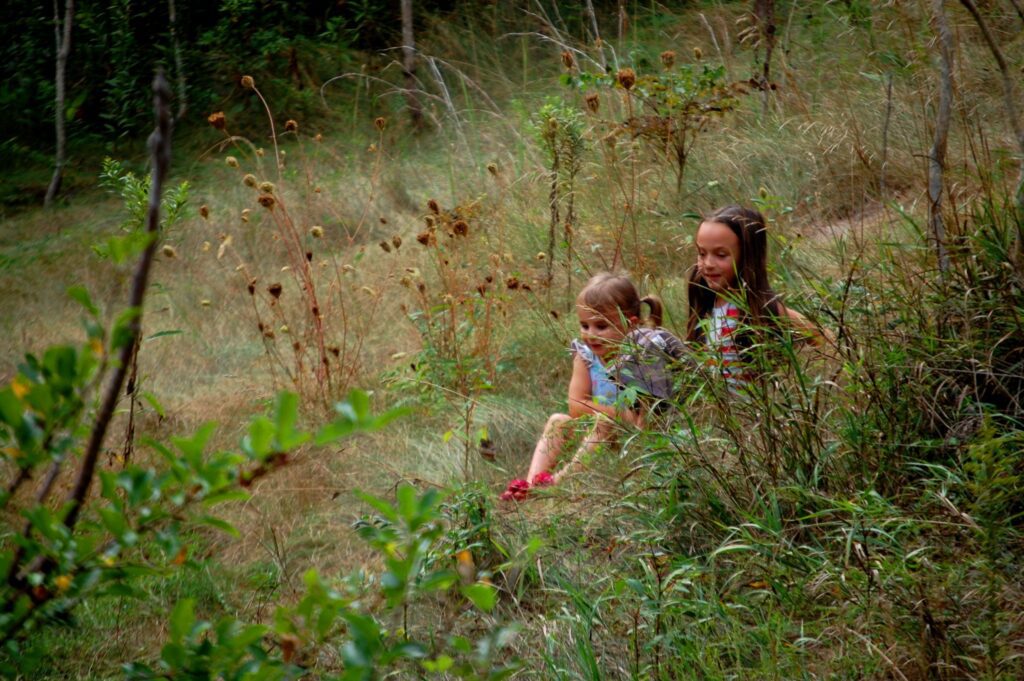 Lyla and Joselyn climbing around on a hill at the South Mountain Rest Area in maryland