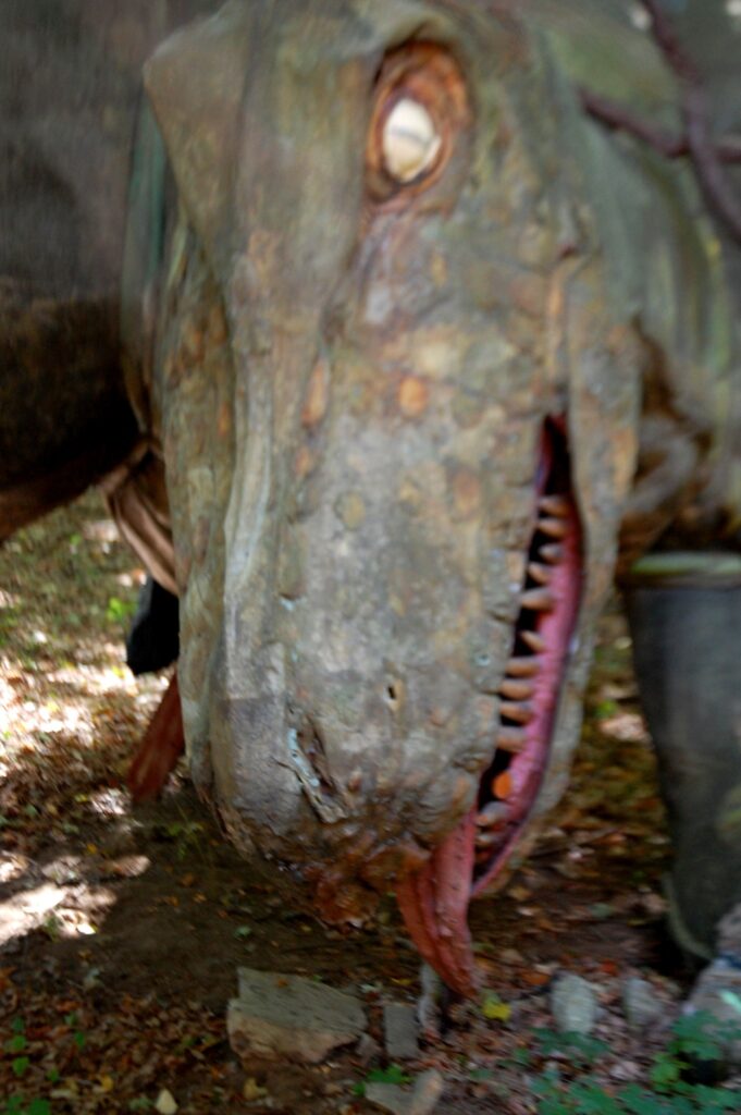 Head of the T-Rex at Wells Dinosaur Haven