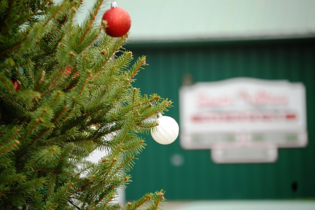 Ornaments on a decorated tree in front of the Santa Claus Museum