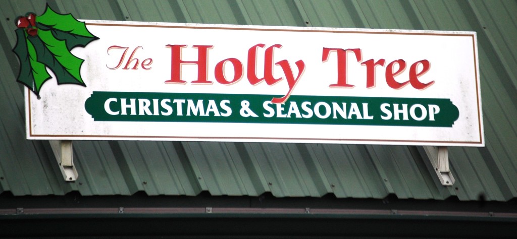 Holly Tree