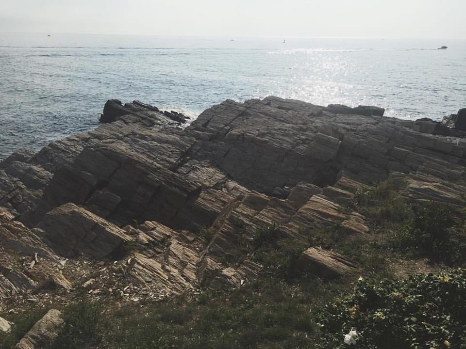 The rocky shores of Port Elizabeth, ME (photo by Marissa Noe)