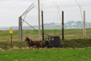 Amish buggies can be seen everywhere in and around Intercourse