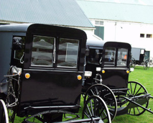 Amish Buggy Sales lot just outside of Intercourse