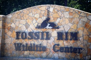 Fossil Rim Wildlife Center near Granbury, Texas