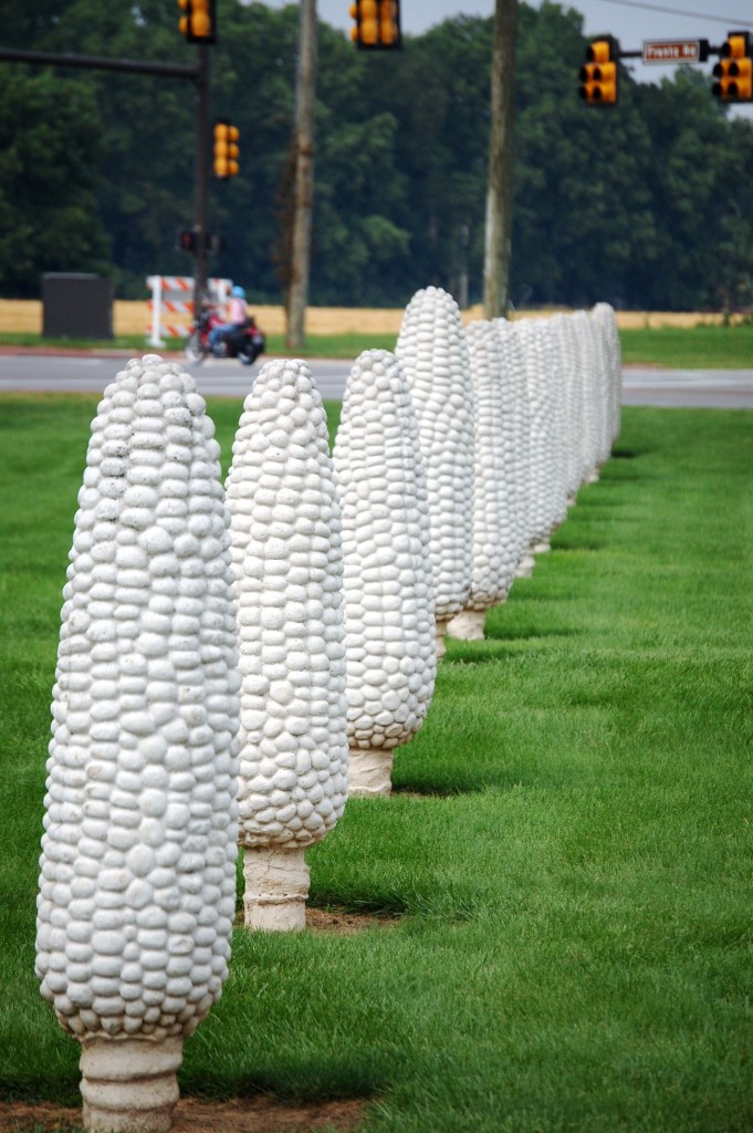 The Field of Corn in Dublin, OH has 109 ears of corn