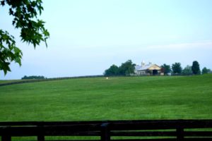 One of many amazing Horse Farm barns that can be seen in the Versailles area