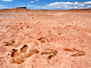 Moenave Dinosaur Tracks near Tuba City, AZ