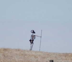 A skeleton keeping guard at Porter's Sculpture Park in Montrose, SD