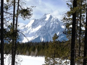 Mt. Moran in the Grand Tetons as seen from Colter Bay Lodge