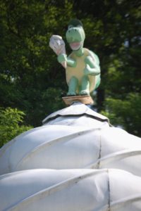 Turtle Holding a Waffle Cone on top of the Turtle Treat Ice Cream Shop