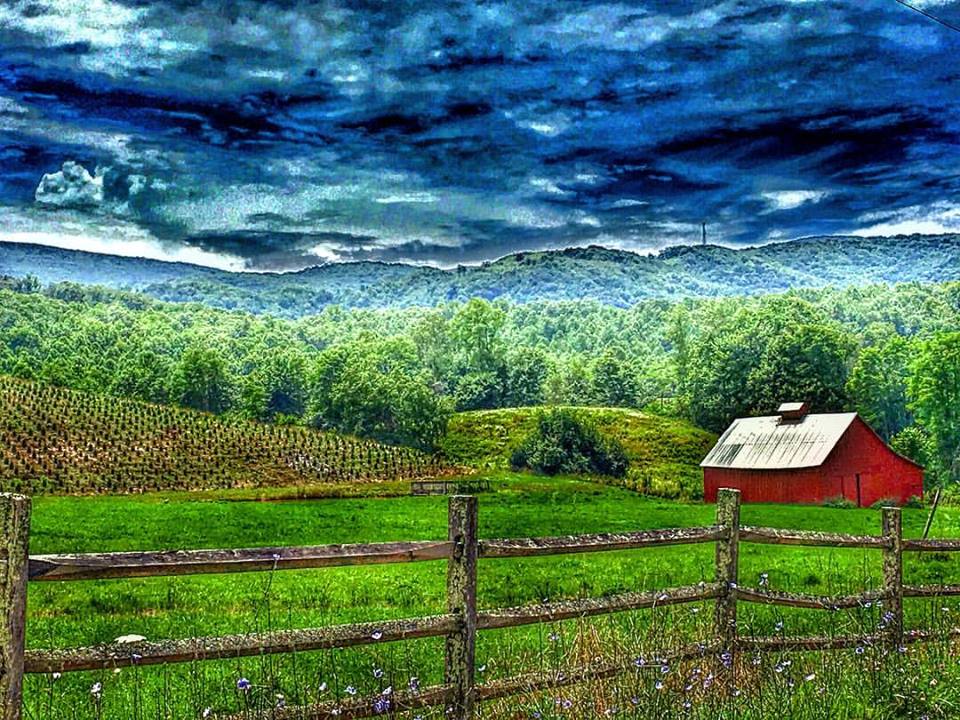 A pastoral scene from near the Green Cove Station on the Virginia Creeper Trail