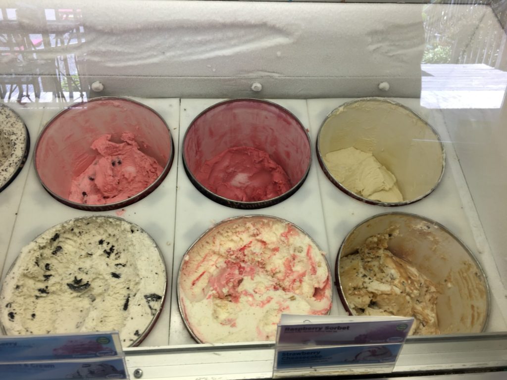 Ice Cream offerings at Off the Beaten Path